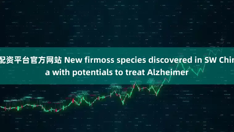 配资平台官方网站 New firmoss species discovered in SW China with potentials to treat Alzheimer