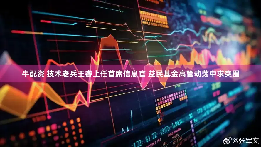 牛配资 技术老兵王睿上任首席信息官 益民基金高管动荡中求突围