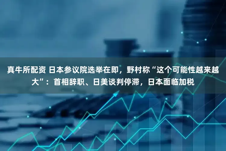 真牛所配资 日本参议院选举在即，野村称“这个可能性越来越大”：首相辞职、日美谈判停滞，日本面临加税