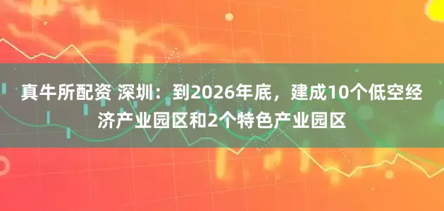真牛所配资 深圳：到2026年底，建成10个低空经济产业园区和2个特色产业园区